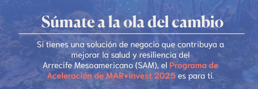 ¿Te interesa la conservación de los arrecifes y fortalecer la estabilidad financiera de tu negocio?