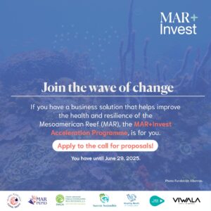 Are you interested in reef conservation and making your business more financially resilient?