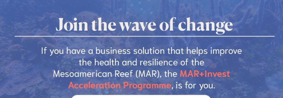 Are you interested in reef conservation and making your business more financially resilient?