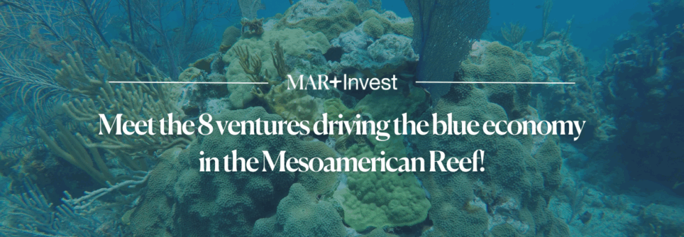 Meet the 8 ventures of MAR+Invest’s 2025 Acceleration Program to boost the blue economy in the Mesoamerican Reef🚀