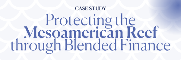 Protecting the Mesoamerican Reef Through Blended Finance