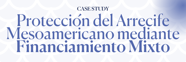 Caso de Estudio: “Protección del Arrecife Mesoamericano mediante Financiamiento Mixto”