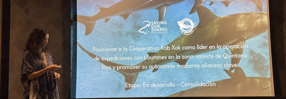 Clausura del Programa de Aceleración MAR+Invest 2025
