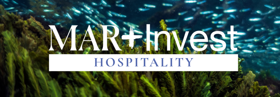 MAR+Invest Hospitality 2026 Call for Applications